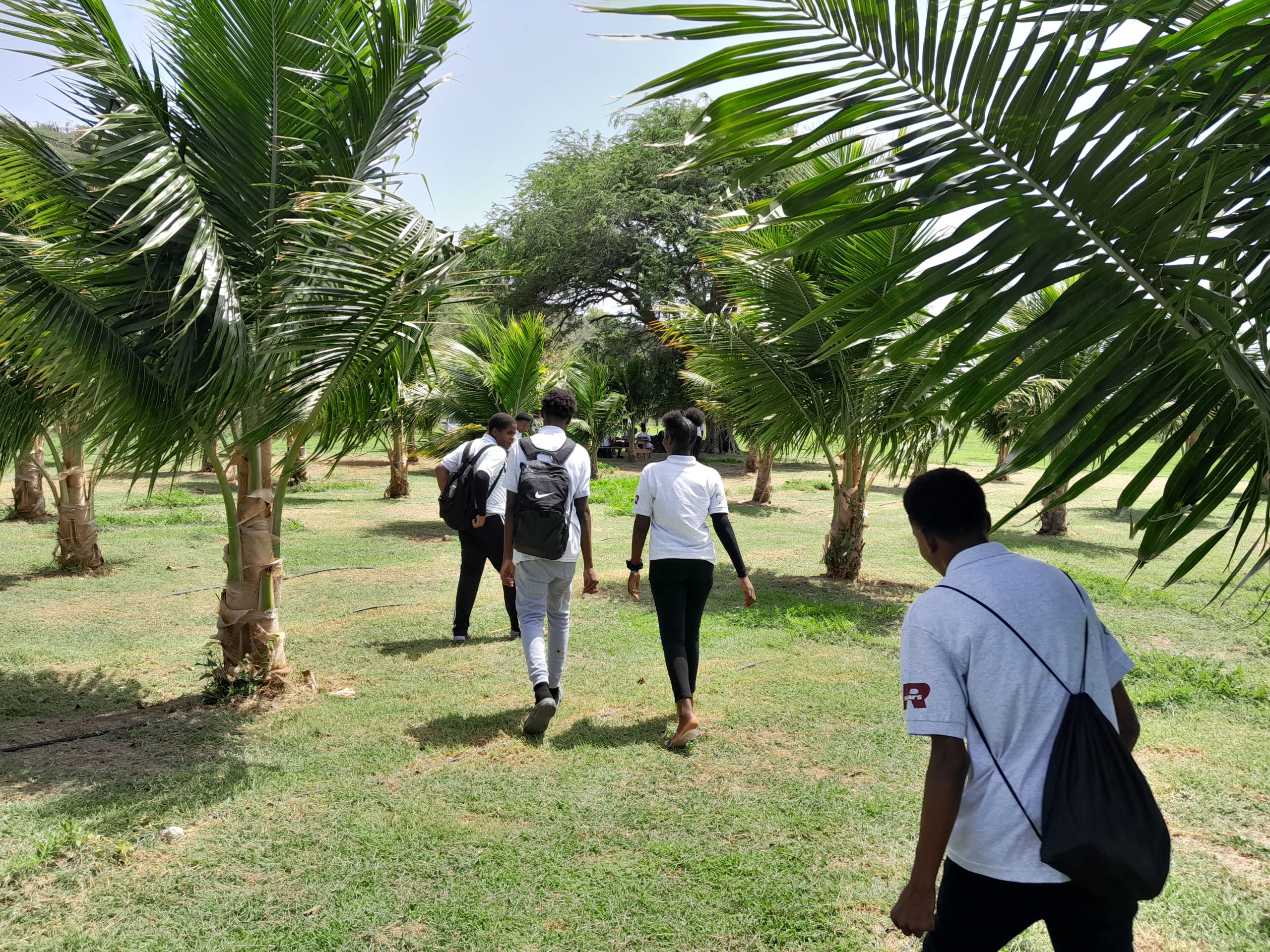 Nevis Day 2 walking on the farm
